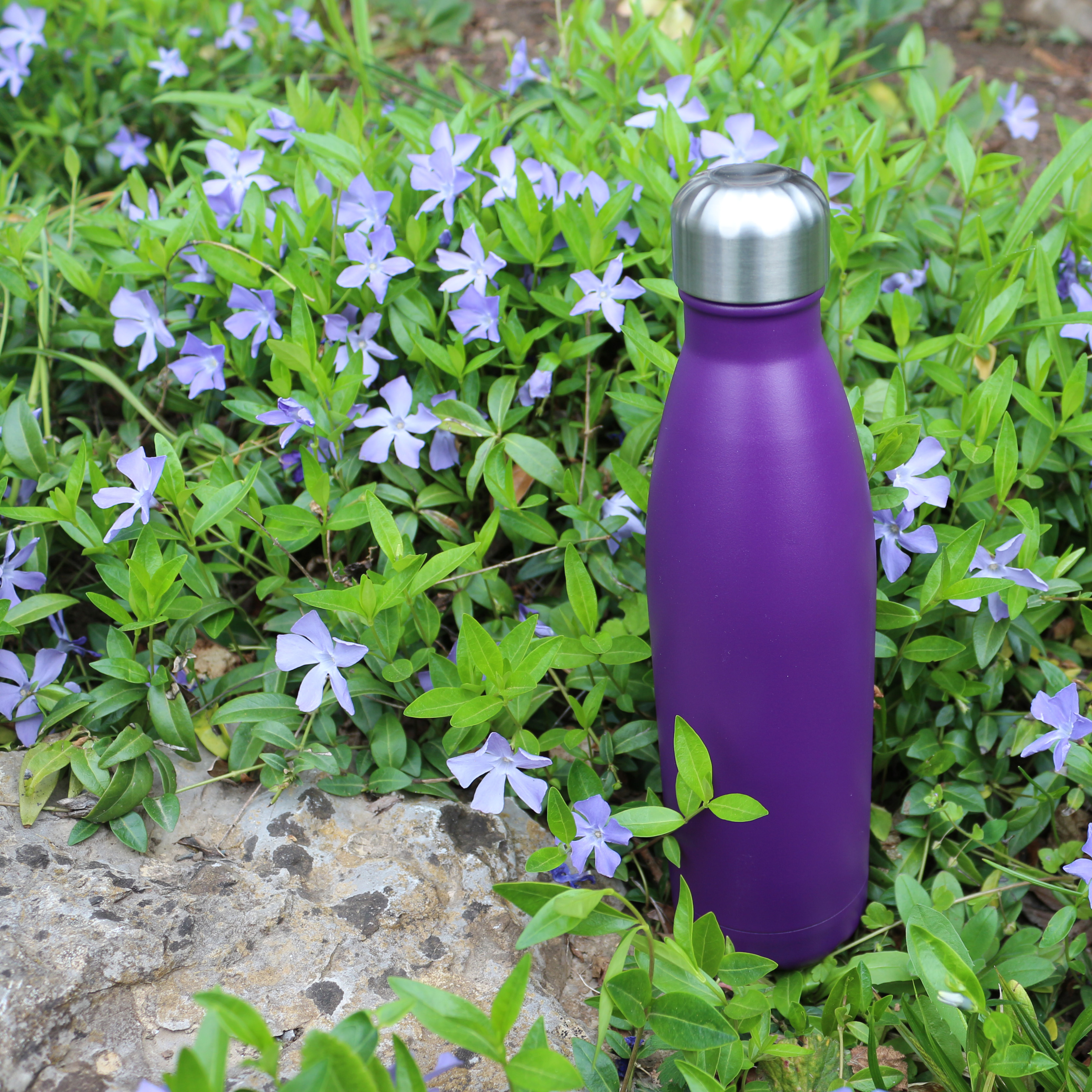Iso-Trinkflasche violett