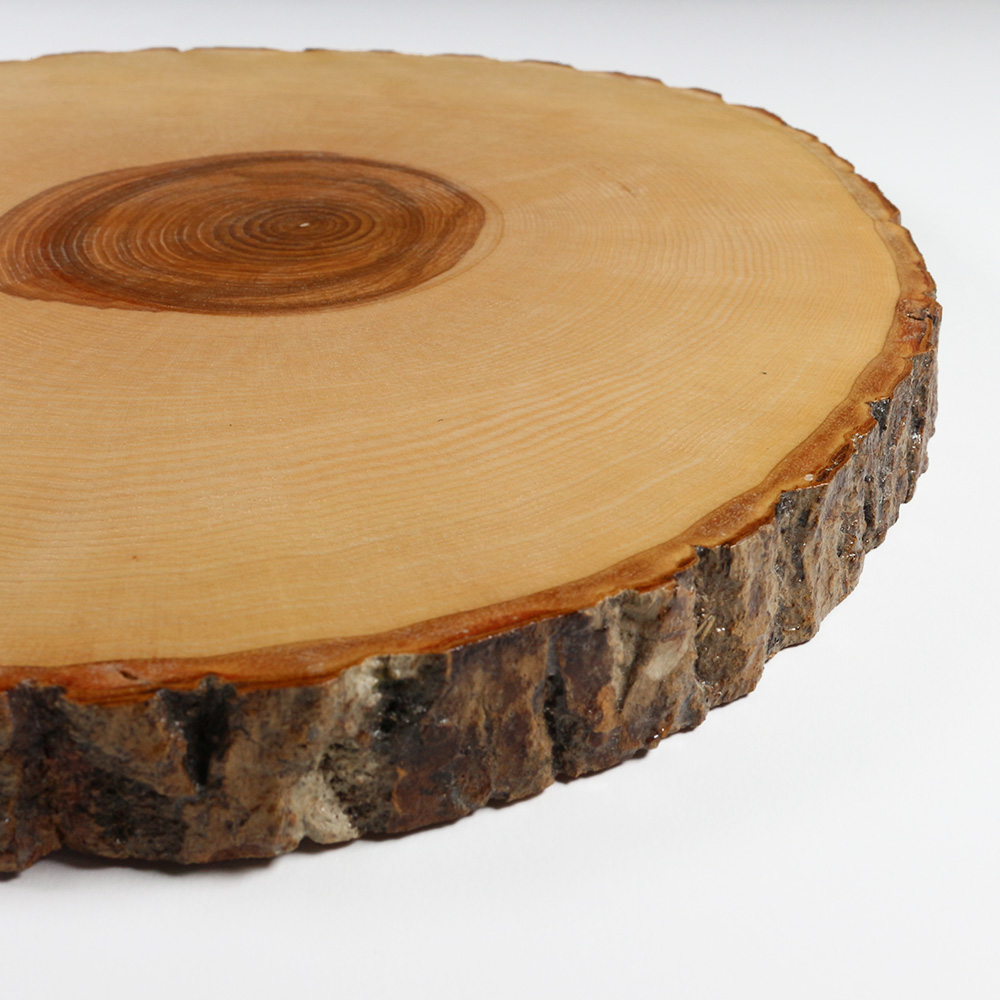 Rindenscheibe rund 27-29 cm