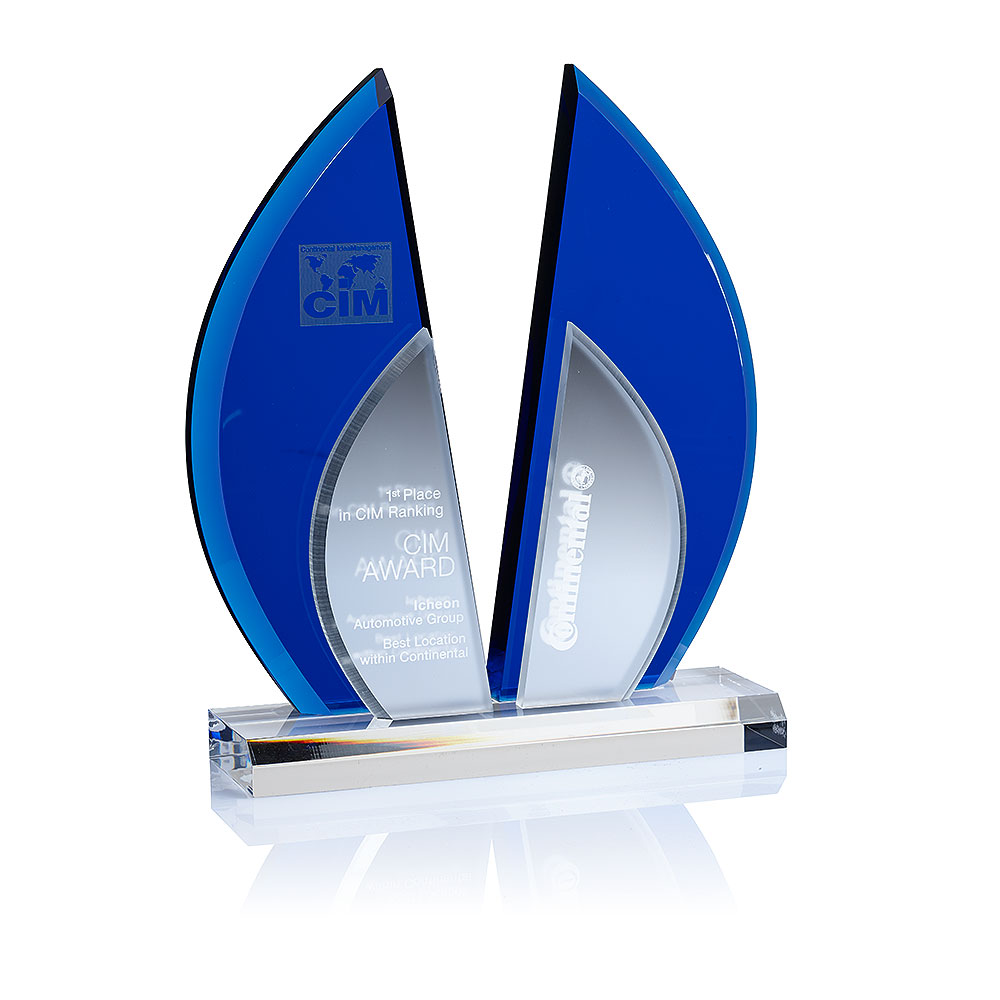 Indigo Ice Flight Award