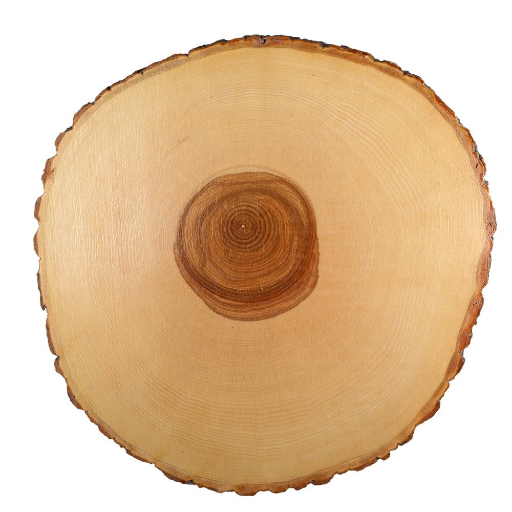 Rindenscheibe rund 27-29 cm