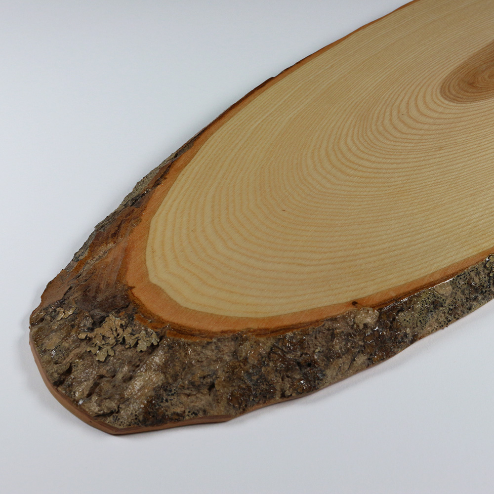 Rindenscheibe oval 51 - 60 cm